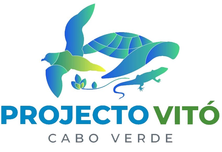 Projecto Vito
