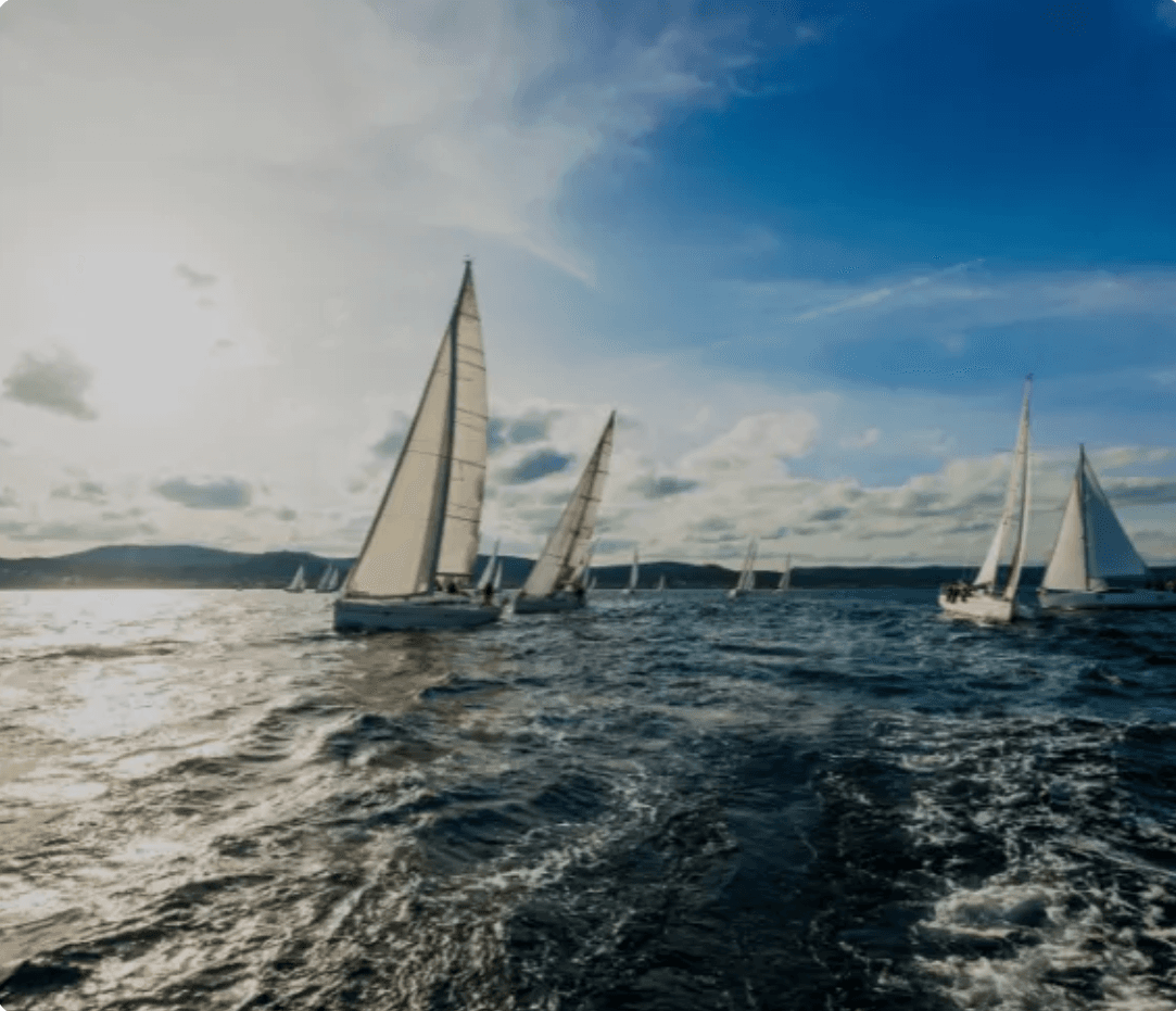 Image of Sailing Tour in Sal