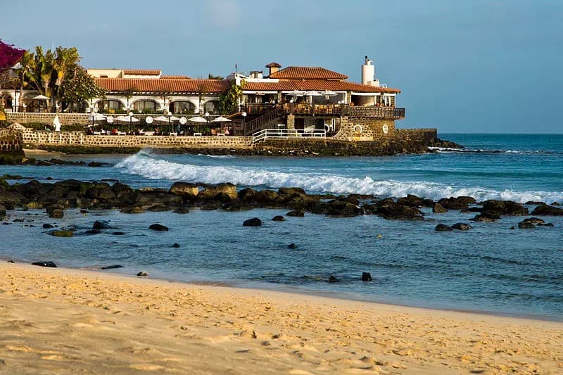 Santa Maria Festival