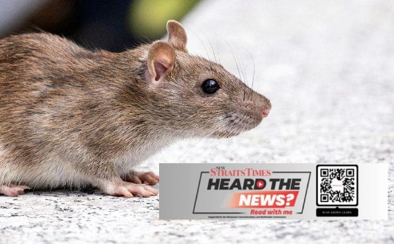 3 die in suspected hantavirus outbreak
