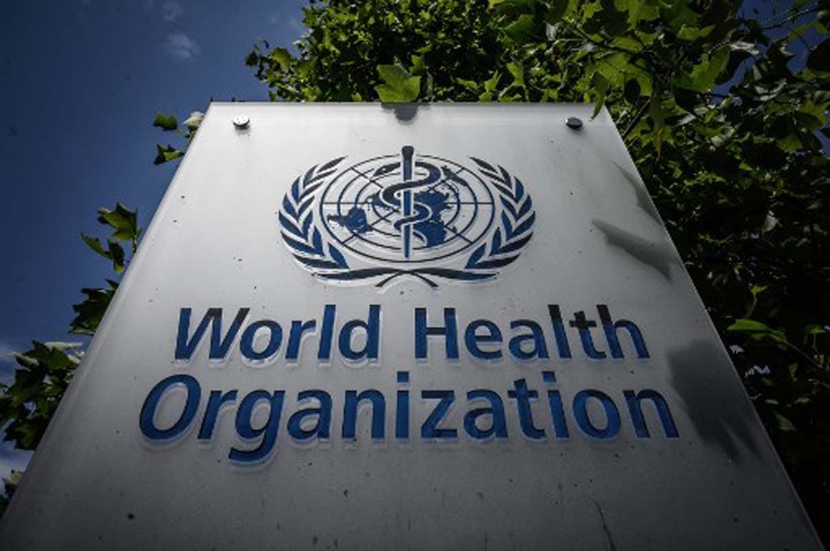 WHO Says Cruise Ship Hantavirus Cases Likely Originated Offboard