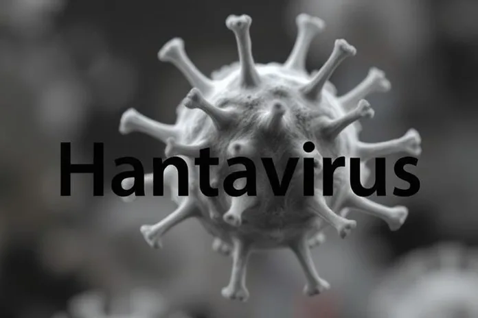 Third Fatality Confirmed as Hantavirus Strikes Cruise Ship Off West Africa
