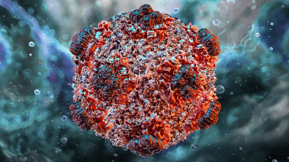 What Is Hantavirus? A Guide to The Virus Linked to Cruise Ship Deaths