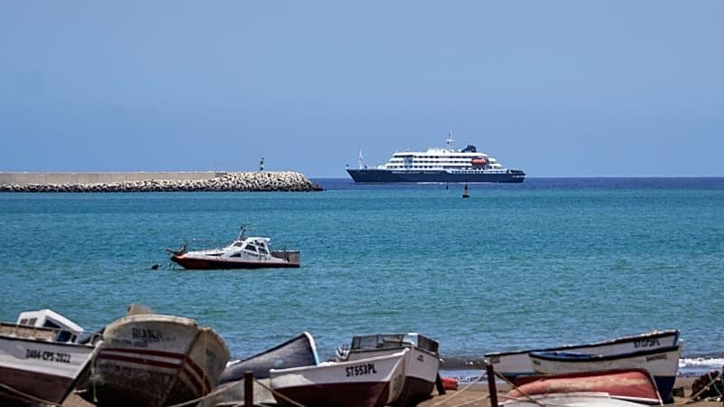 WHO probes human-to-human hantavirus spread after cruise ship deaths