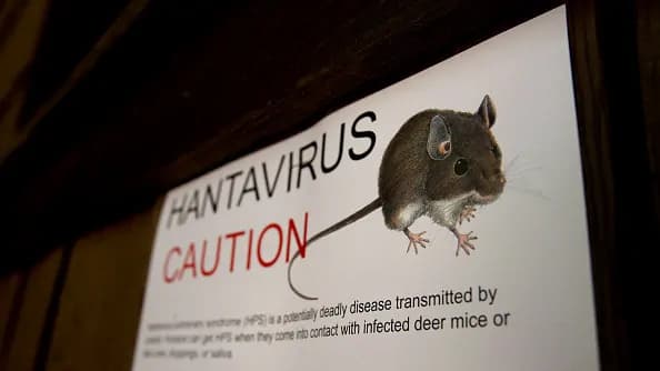 Hantavirus outbreak: Two crew members on MV Hondius require ‘urgent medical care’ after three die, one in ICU