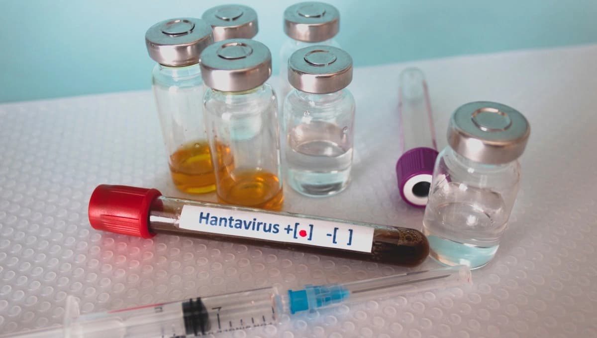 The hantavirus reappeared: what is this outbreak about?